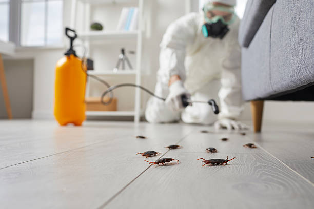 Commercial Kitchen Cockroach Control in Jurupa Valley